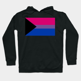 Demibisexual Pride Hoodie